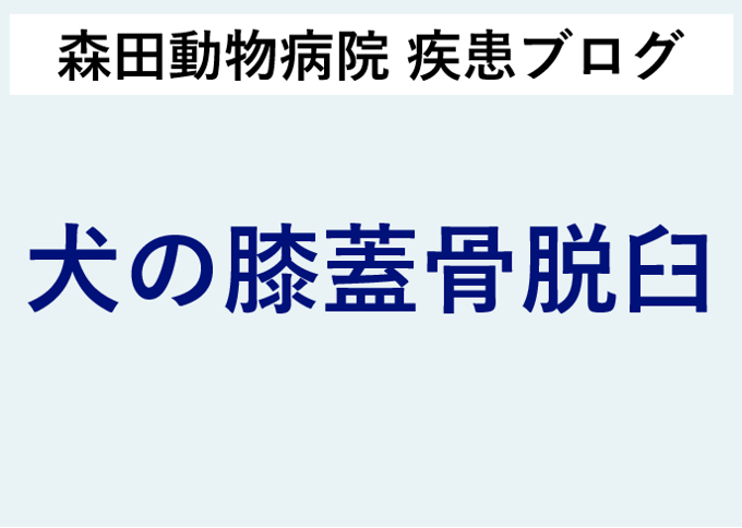 15482405e577d55eb05e1129cab631
